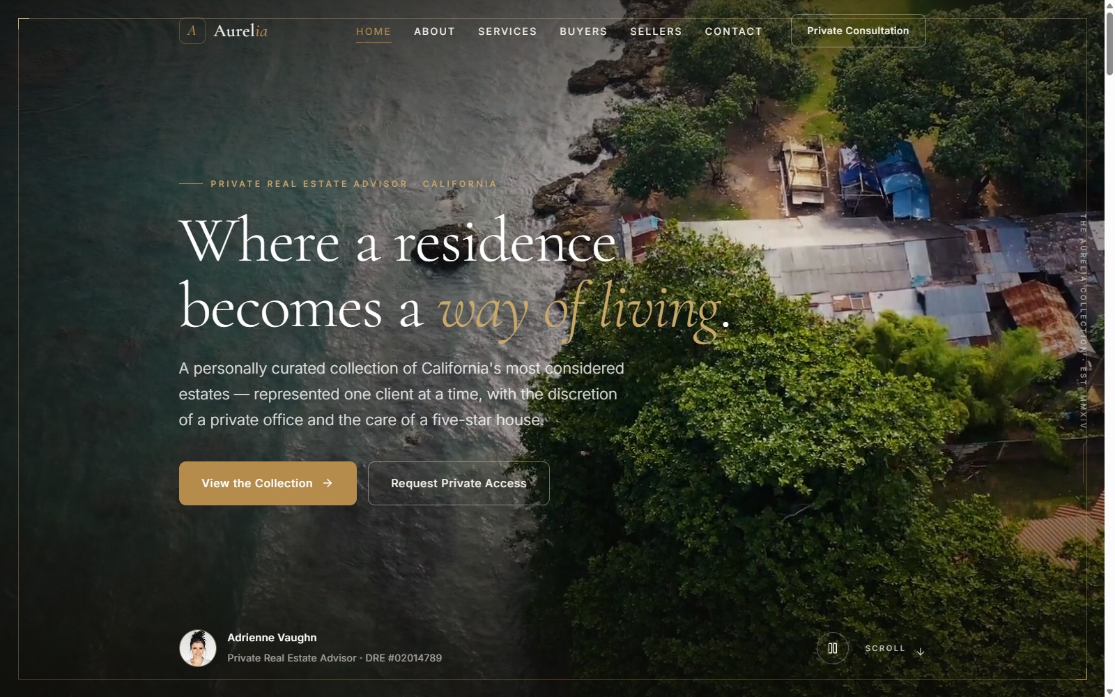 Aurelia Luxury template preview